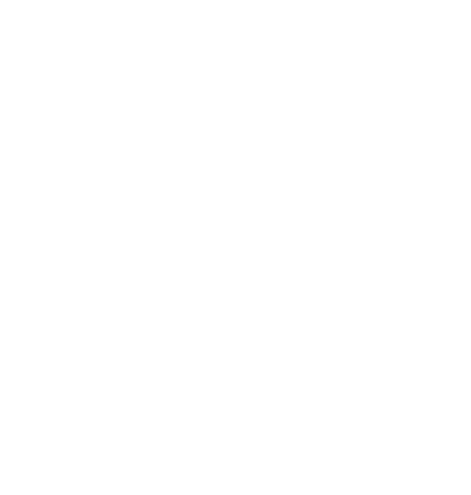 GANN Logo